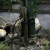 Универсальная рама LASTENKRAXE, TD2001, изображение 7 Универсальная рама LASTENKRAXE, TD2001, изображение 7