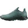 Кросівки Salomon Alphacross 5 GTX s475950, Розмір взуття Salomon: 41 1/3, зображення 2