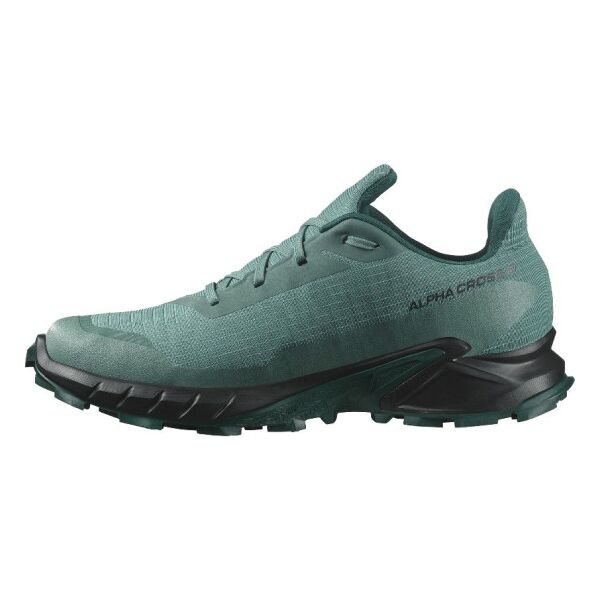 Кросівки Salomon Alphacross 5 GTX s475950, Розмір взуття Salomon: 41 1/3, зображення 2