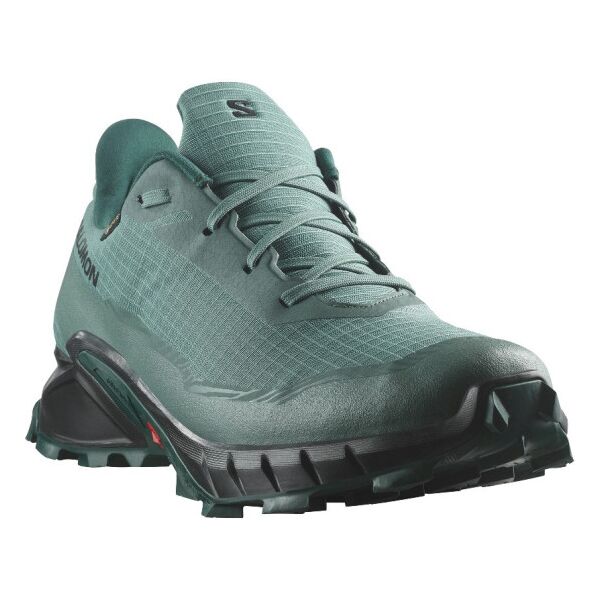 Кросівки Salomon Alphacross 5 GTX s475950, Розмір взуття Salomon: 41 1/3, зображення 3