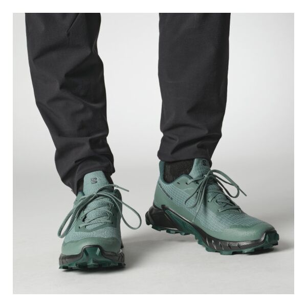 Кросівки Salomon Alphacross 5 GTX s475950, Розмір взуття Salomon: 41 1/3, зображення 6
