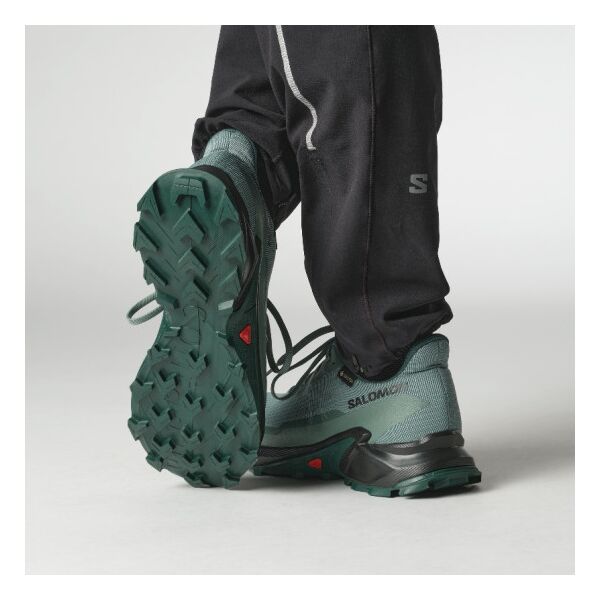 Кросівки Salomon Alphacross 5 GTX s475950, Розмір взуття Salomon: 41 1/3, зображення 7